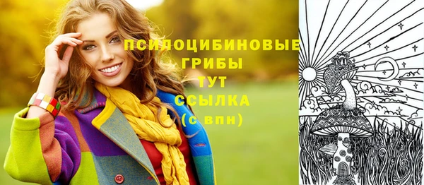 spice Киров