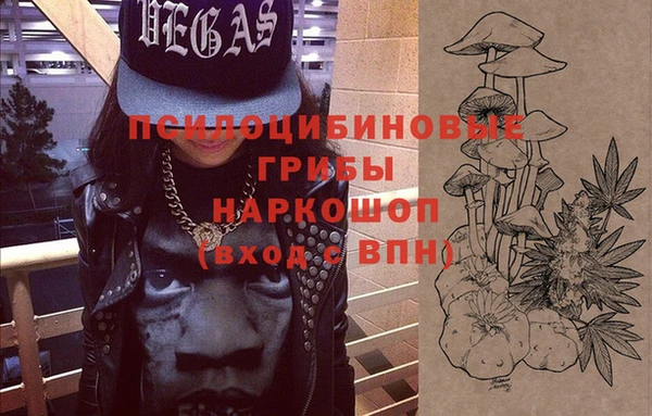 ALPHA PVP Краснослободск